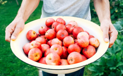 Dlaczego warto jeść jabłka?