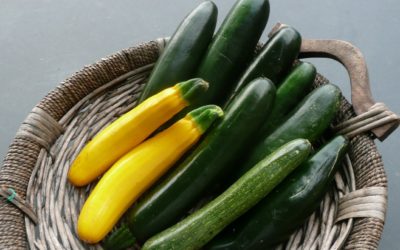 Cukinia na zdrowie