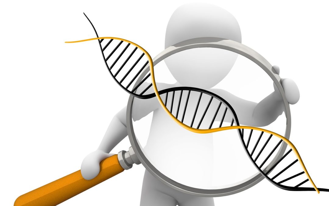 Geny – przeznaczenie nad którym można zapanować