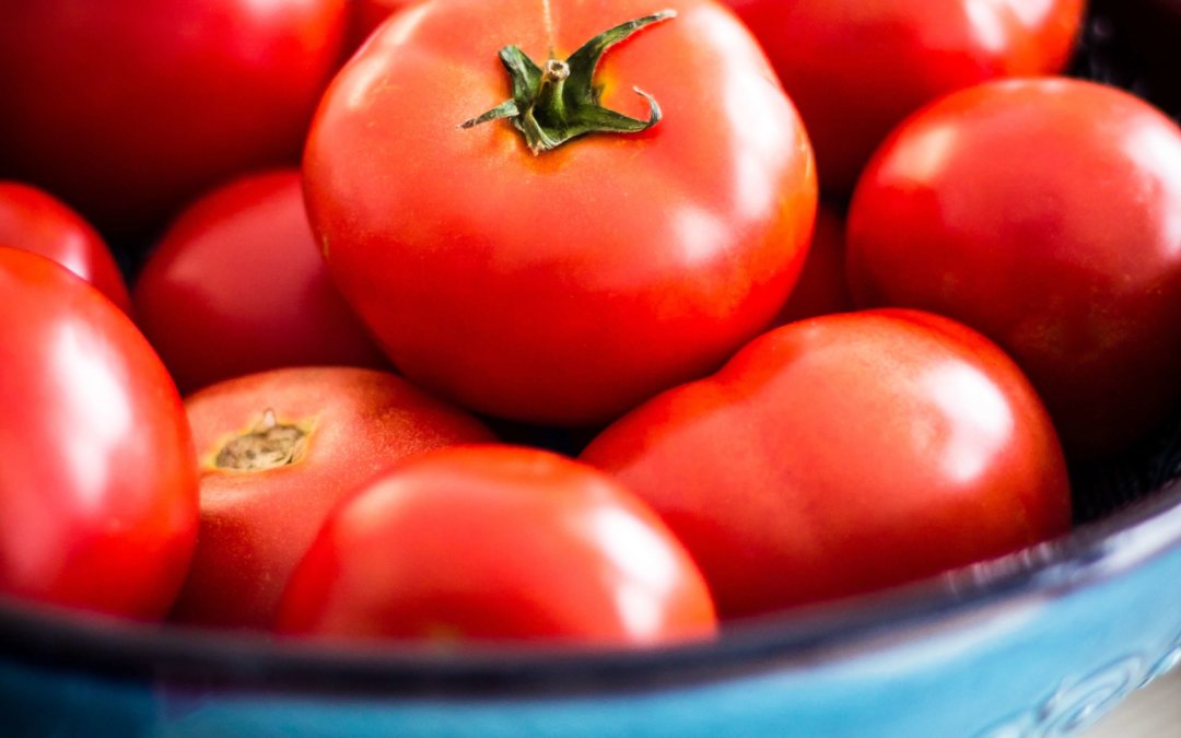 Pomidor – słodki smak lata