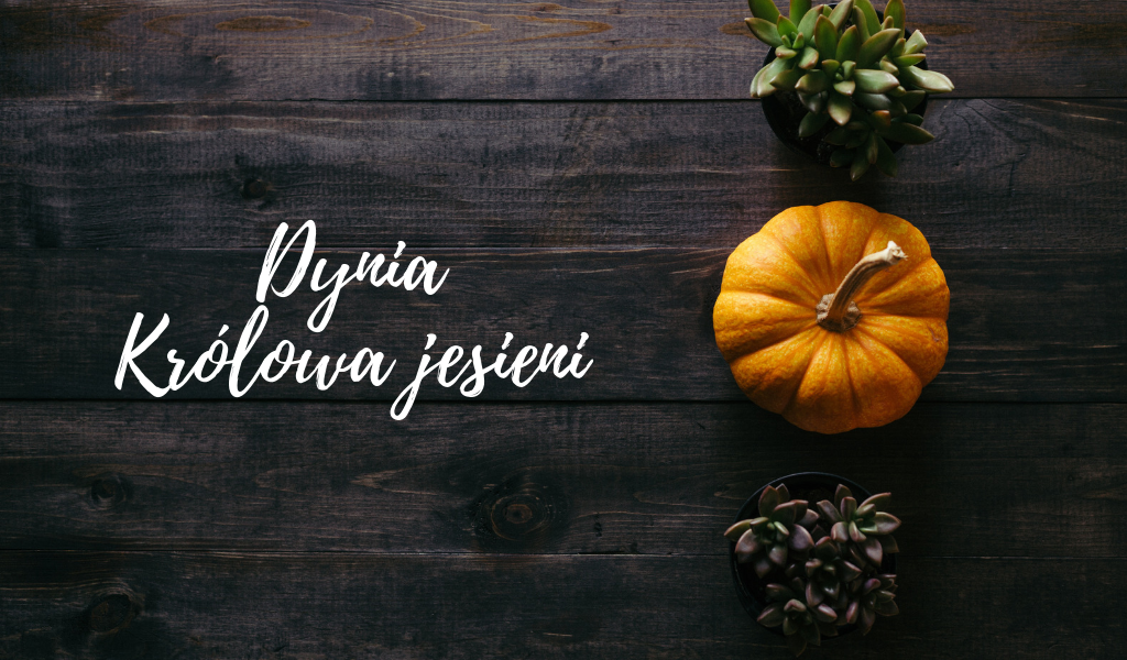 Dynia – królowa jesieni