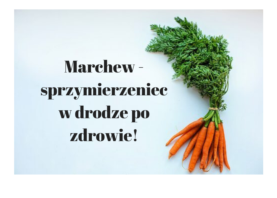 Marchew – sprzymierzeniec w drodze po zdrowie